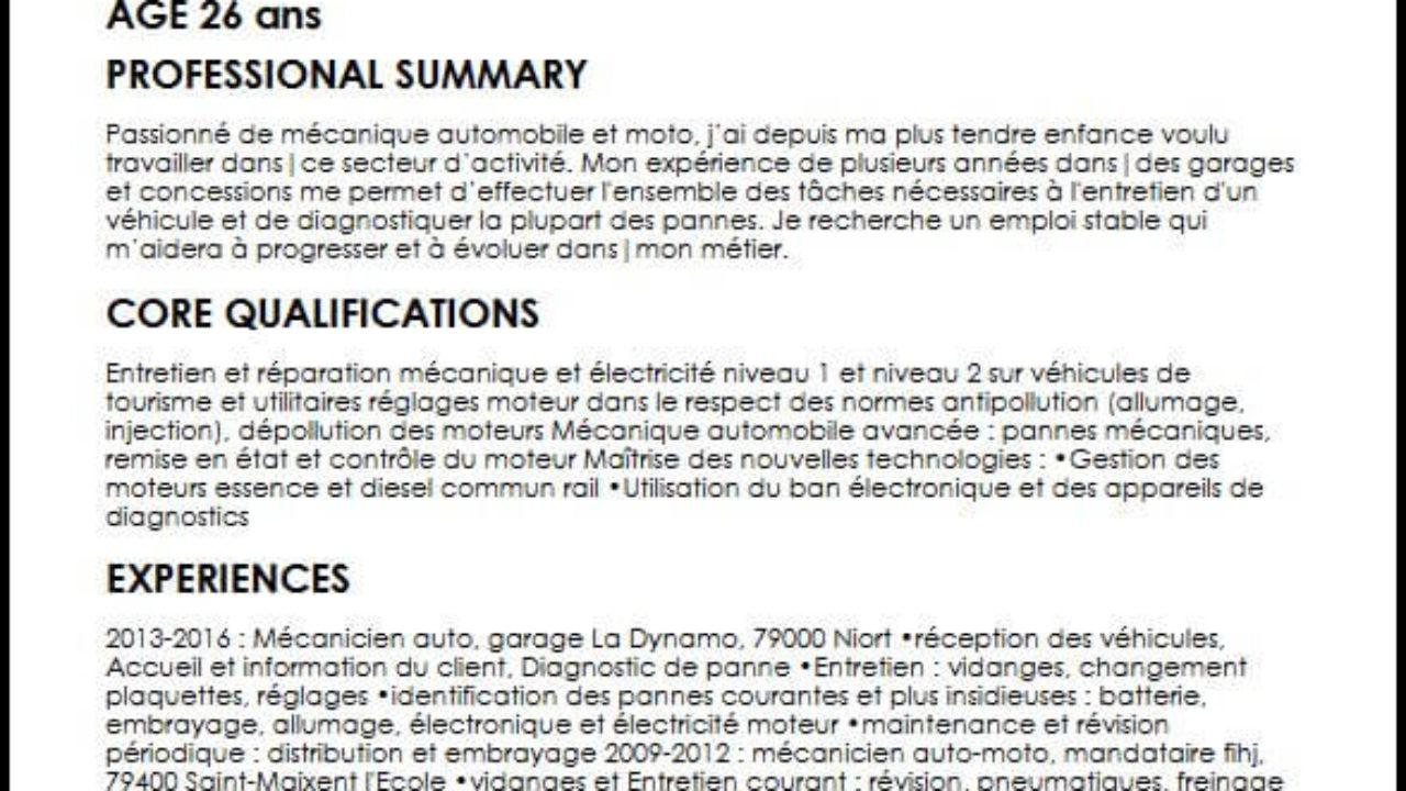 Exemple Cv Gta Rp