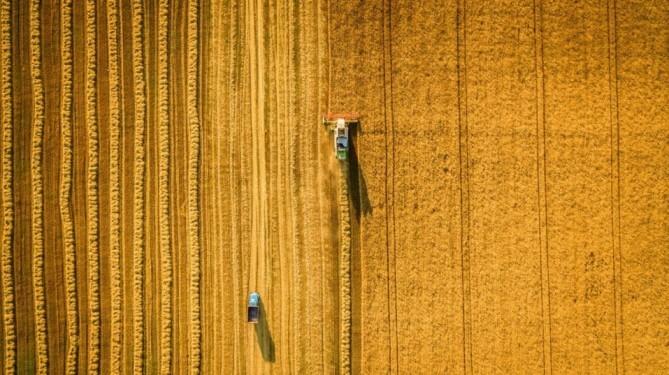 Agriculture_Farming
